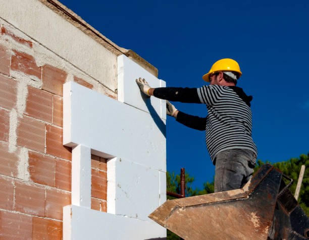 Best Cellulose Insulation in Reese, MI