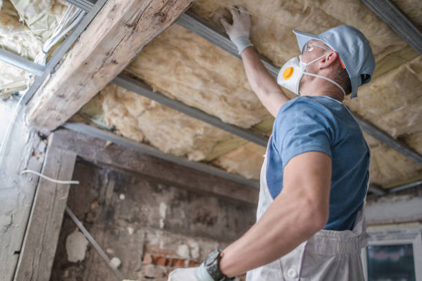 Types of Insulation We Offer in Reese, MI