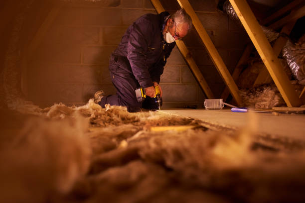 Best Insulation Maintenance and Repair in Reese, MI