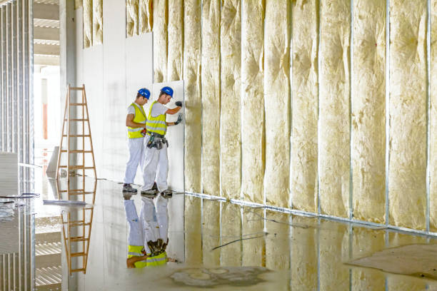 Best Specialized Insulation Services in Reese, MI